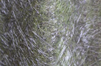 Dolgellau fibreglass roof work